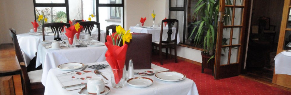 Adare Bed and Breakfast with Wifi and near Shannon Airport