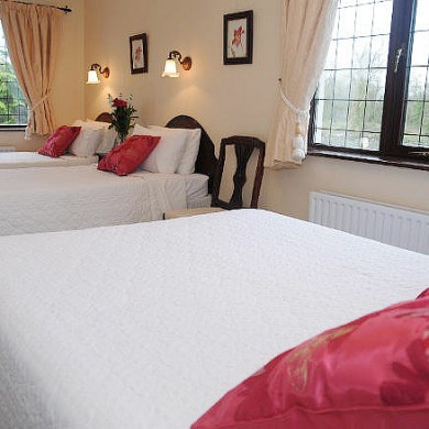 Adare Bed and Breakfast with Wifi and near Shannon Airport