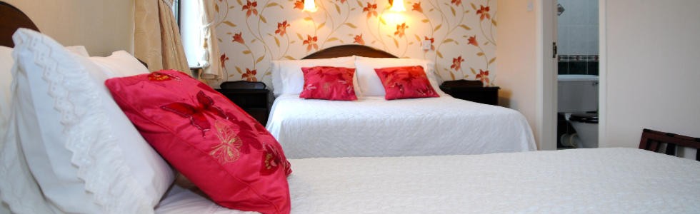 Adare Bed and Breakfast Family Room with Wifi and near Shannon Airport